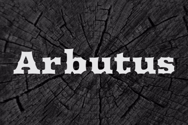 Arbutus - Slab Serif Fonte Grátis