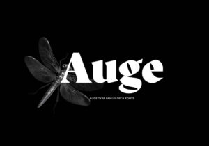 Auge – Fonte Grátis