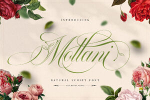 Mollani – Caligrafica Fonte Grátis