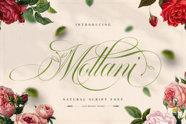 Mollani – Caligrafica Fonte Grátis