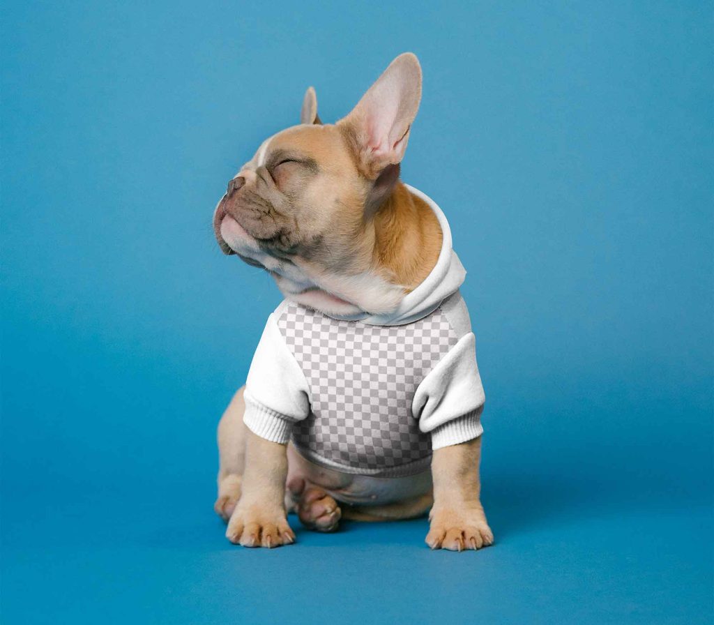 Mockup de Roupa de Cachorro Grátis